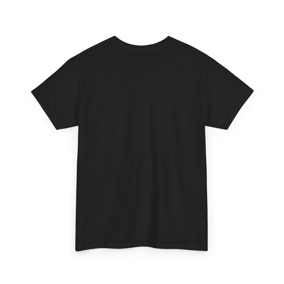 Team Sparka shirt in black, back view – Sparka Hot Head design, official Roco Kingdom merch