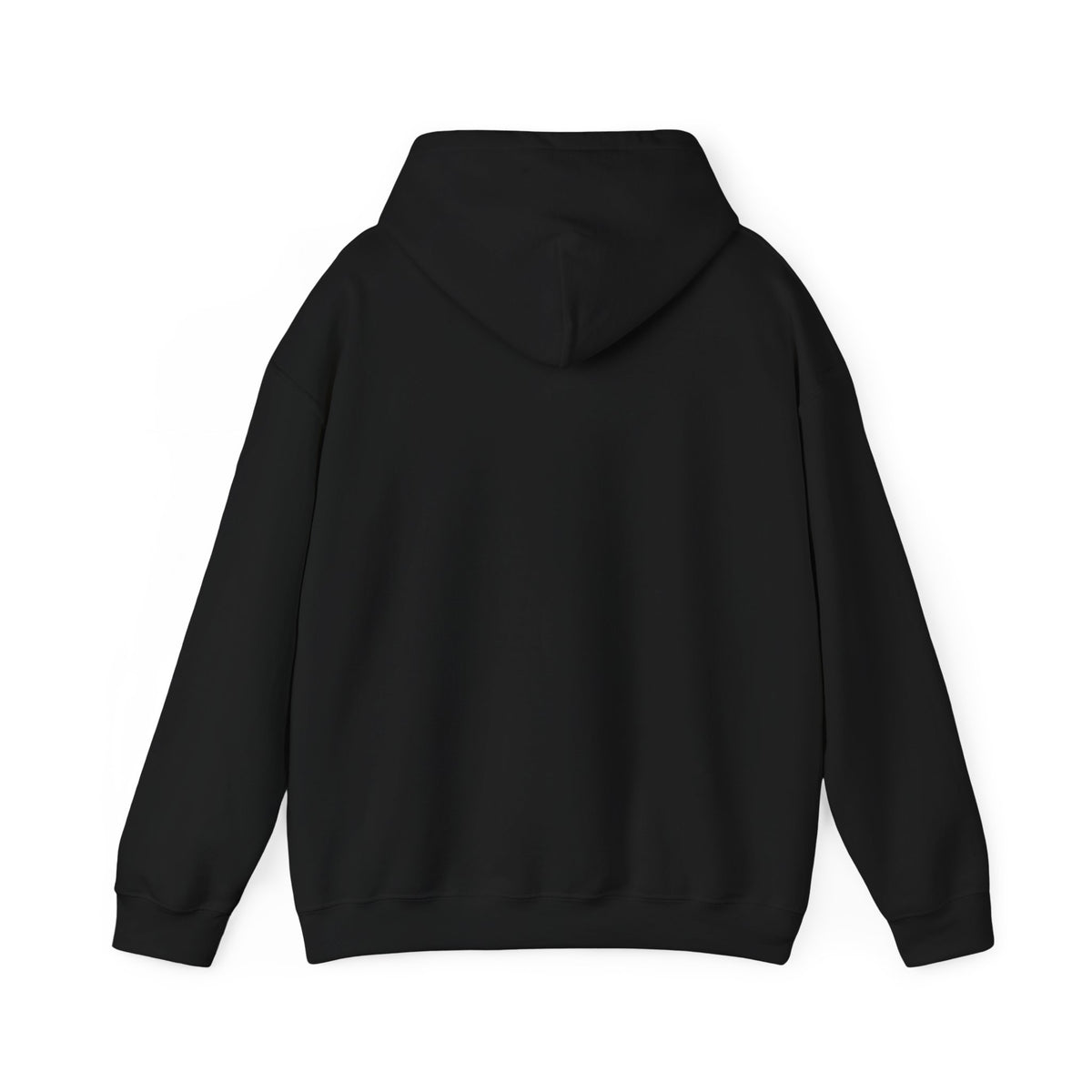 Roco Kingdom Magic Academy hoodie in black, back view – Magic Academy Crest design, official Roco Kingdom merch